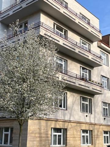 Apartma V Srdci Podebrad Подєбради Екстер'єр фото